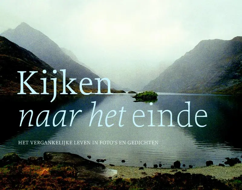 Cover van Kijken naar het einde